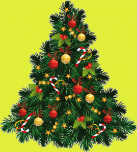 sapins2
